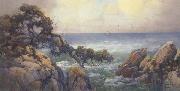 unknow artist Cypress Trees on the Monterey Coast oil on canvas